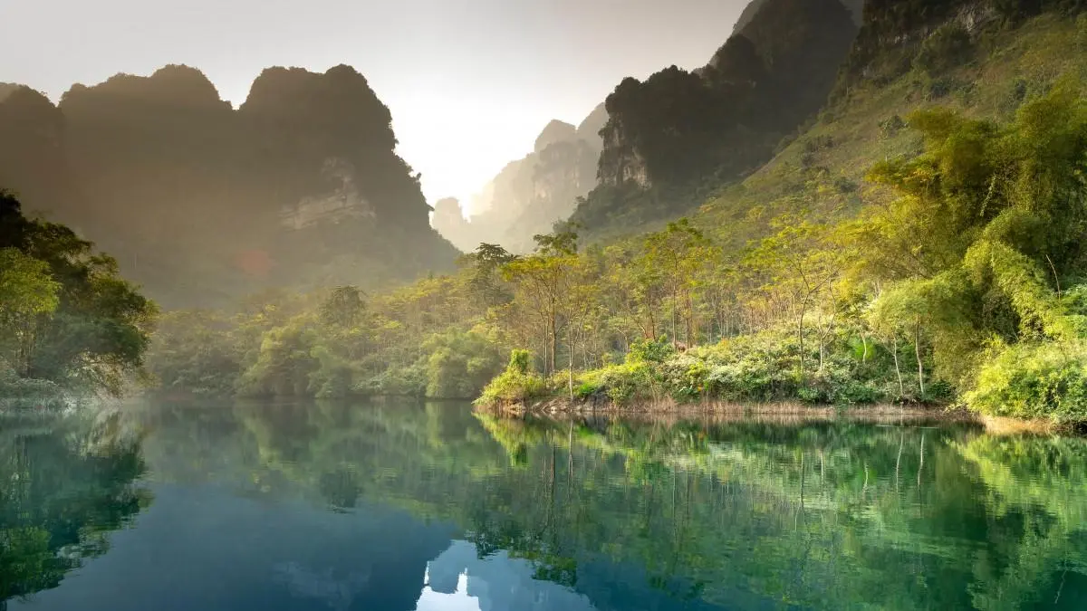 智能绿色